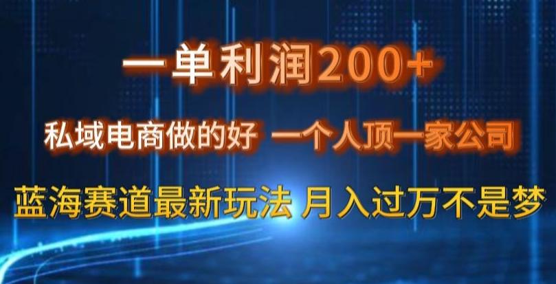 一单利润200私域电商做的好，一个人顶一家公司蓝海赛道最新玩法【揭秘】-蜜桃网创