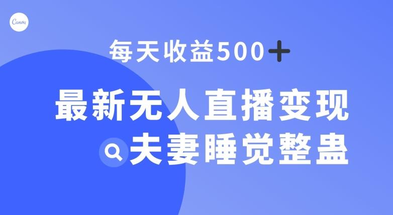 最新无人直播变现，夫妻睡觉整蛊，每天躺赚500+【揭秘】-蜜桃网创
