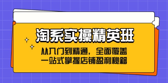 淘系实操精英班：从入门到精通，全面覆盖，一站式掌握店铺盈利秘籍-蜜桃网创