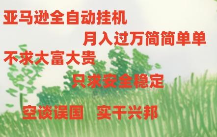 亚马逊全自动浏览挂机，，收益稳定且前景广阔-蜜桃网创
