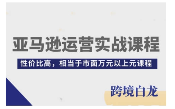 亚马逊运营实战课程，亚马逊从入门到精通，性价比高，相当于市面万元以上元课程-蜜桃网创