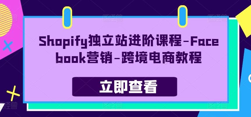 Shopify独立站进阶课程-Facebook营销-跨境电商教程-蜜桃网创