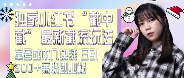 最新小红书截流玩法 独家截中截 单号成本几块钱 日引500+CY粉JZ粉-蜜桃网创