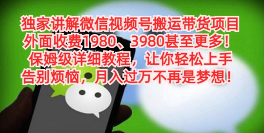独家讲解微信视频号搬运带货项目，保姆级详细教程-蜜桃网创