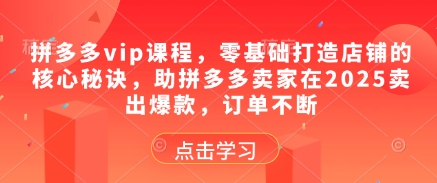 拼多多vip课程，零基础打造店铺的核心秘诀，助拼多多卖家在2025卖出爆款，订单不断-蜜桃网创