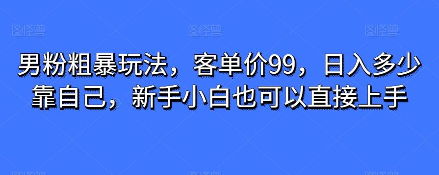 男粉粗暴玩法，客单价99，日入多少靠自己，新手小白也可以直接上手-蜜桃网创