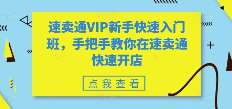 速卖通VIP新手快速入门班，手把手教你在速卖通快速开店-蜜桃网创