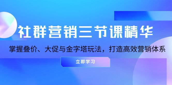 社群营销三节课精华：掌握叠价、大促与金字塔玩法，打造高效营销体系-蜜桃网创