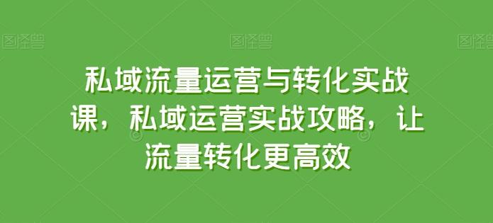 私域流量运营与转化实战课，私域运营实战攻略，让流量转化更高效-蜜桃网创