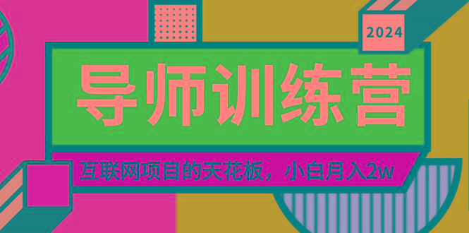 《导师训练营》精准粉丝引流的天花板,小白月入2w-蜜桃网创