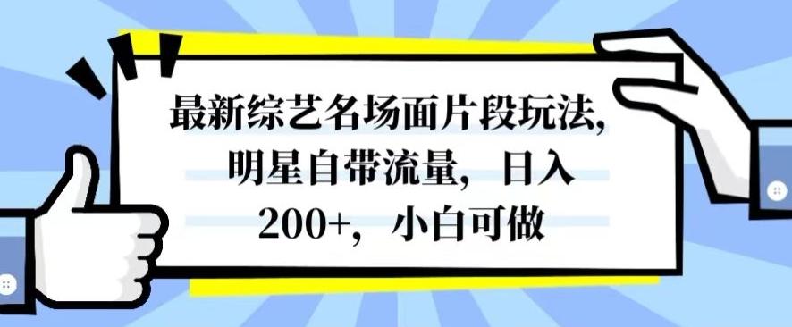 最新综艺名场面片段玩法，明星自带流量，日入200+，小白可做【揭秘】-蜜桃网创