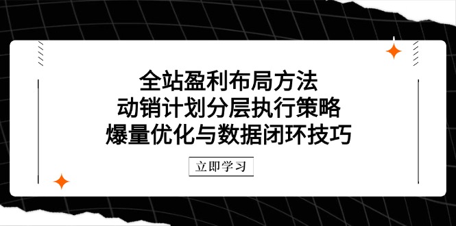 全站盈利布局方法：动销计划分层执行策略，爆量优化与数据闭环技巧-蜜桃网创