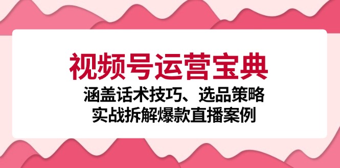 视频号运营宝典：涵盖话术技巧、选品策略、实战拆解爆款直播案例-蜜桃网创