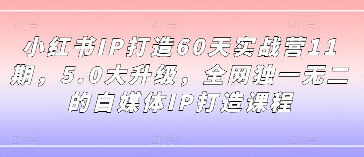 小红书IP打造60天实战营11期，5.0大升级，全网独一无二的自媒体IP打造课程-蜜桃网创