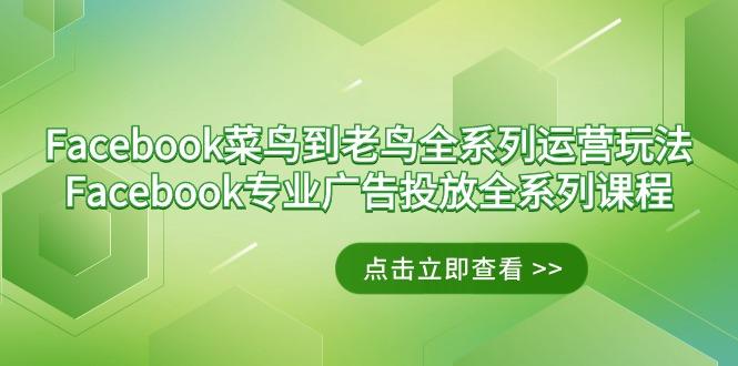Facebook-菜鸟到老鸟全系列运营玩法+Facebook-专业广告投放全系列课程-蜜桃网创