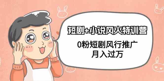 小说+短剧风火特训营，0粉短剧小说风行推广，实现月入过万-蜜桃网创