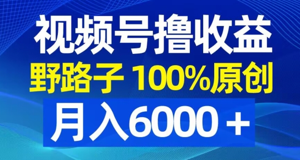 视频号野路子撸收益，100%原创，条条爆款，月入6000＋【揭秘】-蜜桃网创