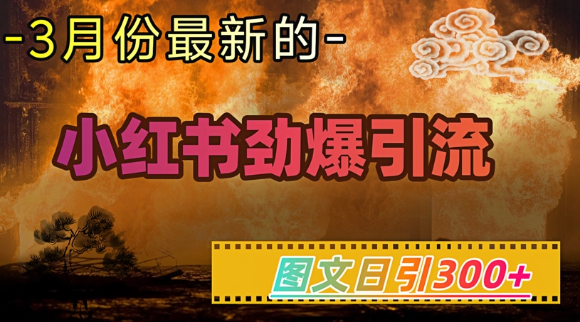 小红书超劲爆引流手段，图文日引300+轻松变现1W-蜜桃网创