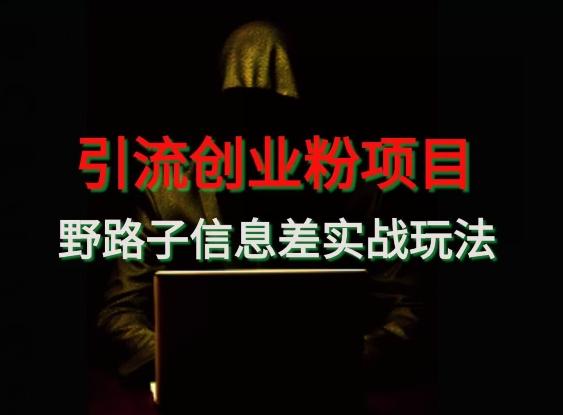 【引流创业粉】野路子信息差玩法实战教学-蜜桃网创