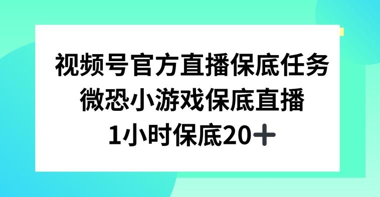 视频号直播任务，微恐小游戏，1小时20+【揭秘】-蜜桃网创