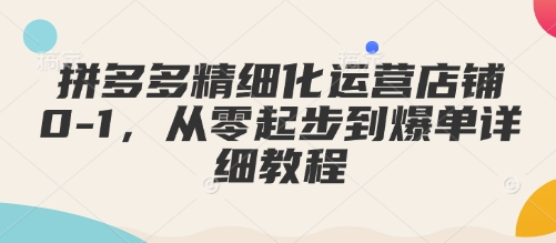 拼多多精细化运营店铺0-1,从零起步到爆单详细教程-蜜桃网创