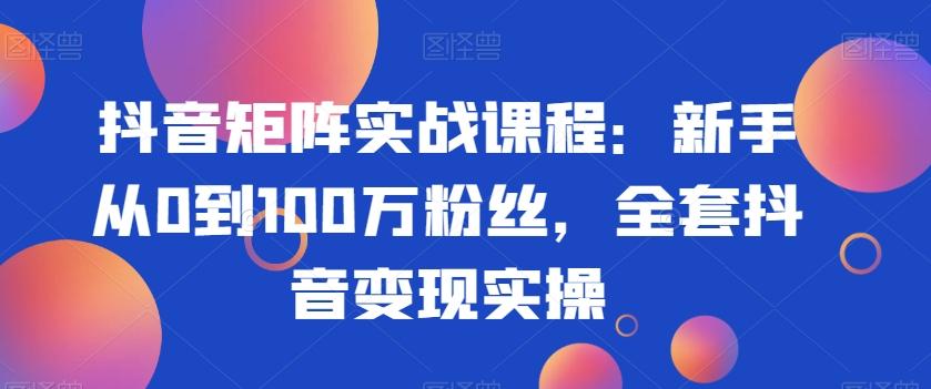 抖音矩阵实战课程：新手从0到100万粉丝，全套抖音变现实操-蜜桃网创