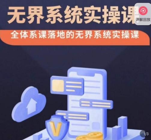 老衲·无界系统实操课,全体系落地无界改版后选择、出价、高投产做付费引流-蜜桃网创