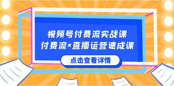 视频号付费流实战课,付费流×直播运营速成课,让你快速掌握视频号核心运营技能-蜜桃网创