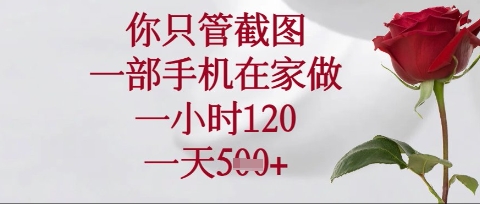 你只管截图，一部手机在家操作，一小时120.一天5张【揭秘】-蜜桃网创