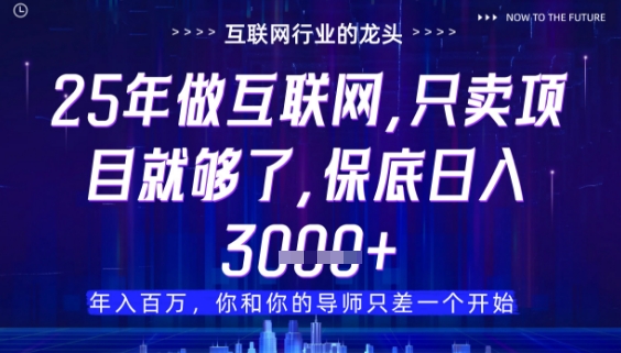 什么！25年你还在找项目做？风口早就变了，卖项目才是稳挣不赔【揭秘】-蜜桃网创