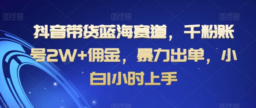 抖音带货蓝海赛道，千粉账号2W+佣金，暴力出单，小白1小时上手【揭秘】-蜜桃网创