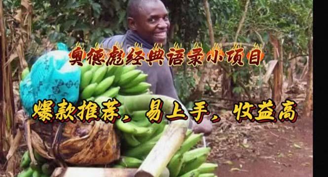 奥德彪经典语录小项目，爆款推荐，易上手，收益高-蜜桃网创