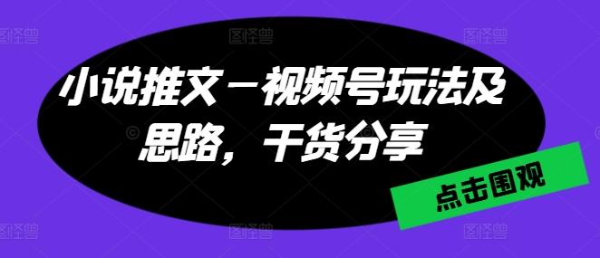 小说推文—视频号玩法及思路，干货分享-蜜桃网创