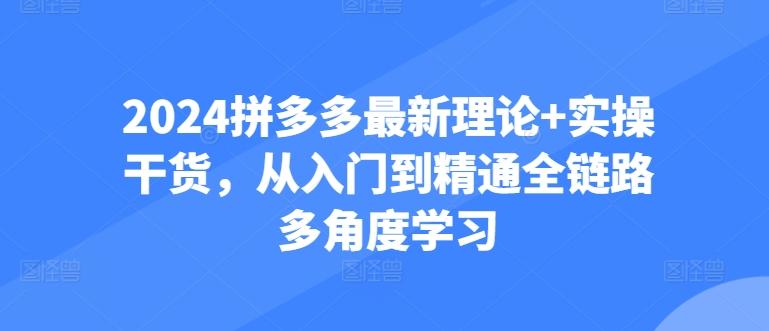 2024拼多多最新理论+实操干货,从入门到精通全链路多角度学习-蜜桃网创