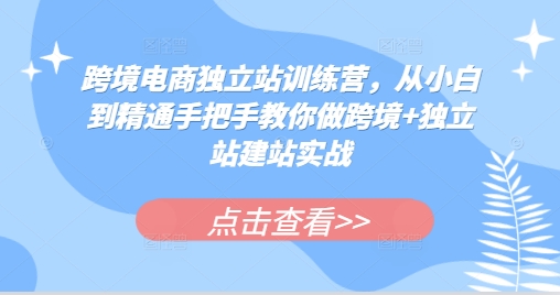 跨境电商独立站训练营，从小白到精通手把手教你做跨境+独立站建站实战-蜜桃网创