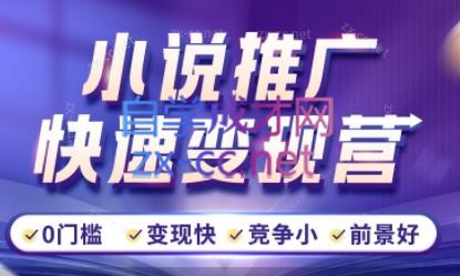 洲洲老师·小说推广快速变现营-蜜桃网创