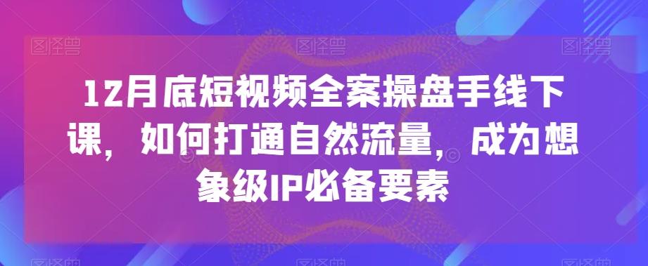 12月底短视频全案操盘手线下课，如何打通自然流量，成为想象级IP必备要素-蜜桃网创