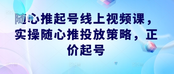 随心推起号线上视频课，实操随心推投放策略，正价起号-蜜桃网创