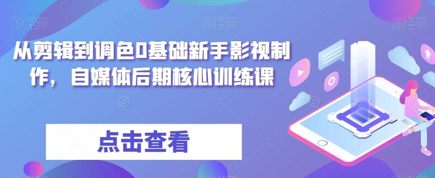 从剪辑到调色0基础新手影视制作，自媒体后期核心训练课-蜜桃网创