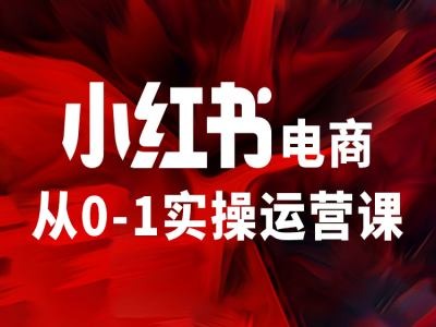 小红书电商从0-1实操运营课，让你从小白到精英-蜜桃网创