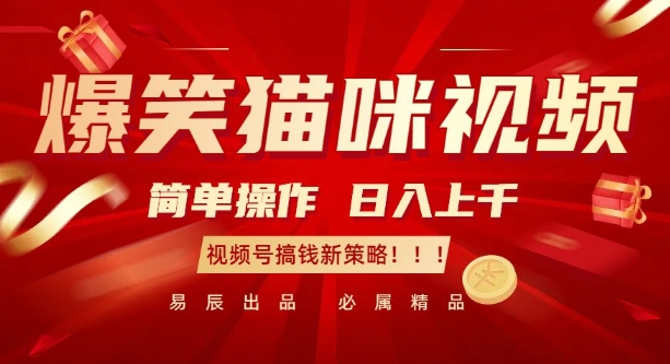 爆笑猫咪视频：简单操作，日入过K，视频号搞钱新策略【揭秘】-蜜桃网创