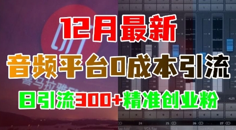 12月最新：音频平台0成本引流，日引流300+精准创业粉-蜜桃网创