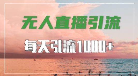 抖音快手视频号全平台通用，无人直播引流法，超暴力引流1000+高质量精准创业粉【揭秘】-蜜桃网创