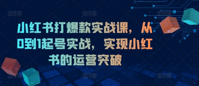 小红书打爆款实战课，从0到1起号实战，实现小红书的运营突破-蜜桃网创
