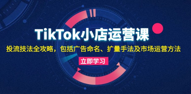 TikTok小店运营课：投流技法全攻略，包括广告命名 扩量手法及市场运营方法-蜜桃网创