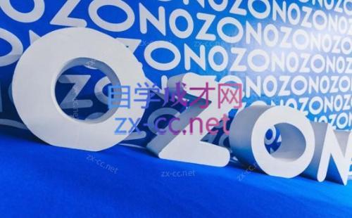 森哥·出海俄罗斯电商实操(2024)-蜜桃网创