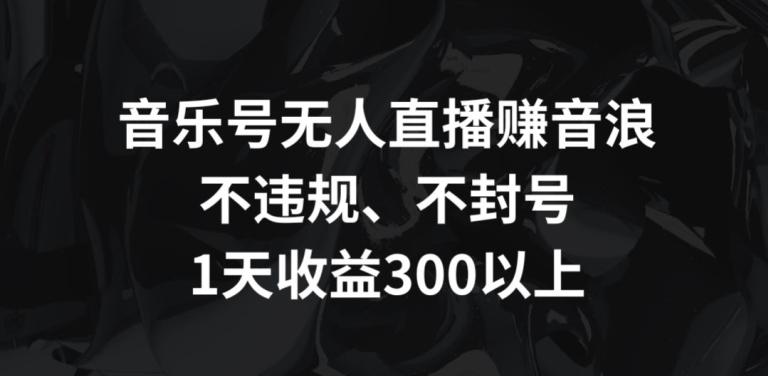 音乐号无人直播赚音浪，不违规、不封号，1天收益300+【揭秘】-蜜桃网创