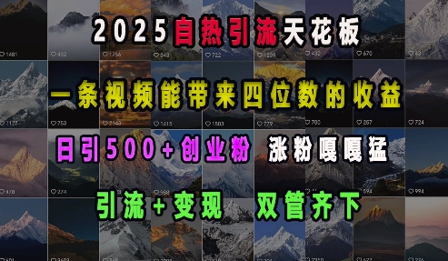 2025自热引流天花板，一条视频能带来四位数的收益，引流+变现双管齐下，日引500+创业粉，涨粉嘎嘎猛-蜜桃网创