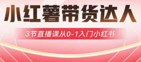 小红薯达人带货启航计划,3节直播课从0-1入门小红书-蜜桃网创