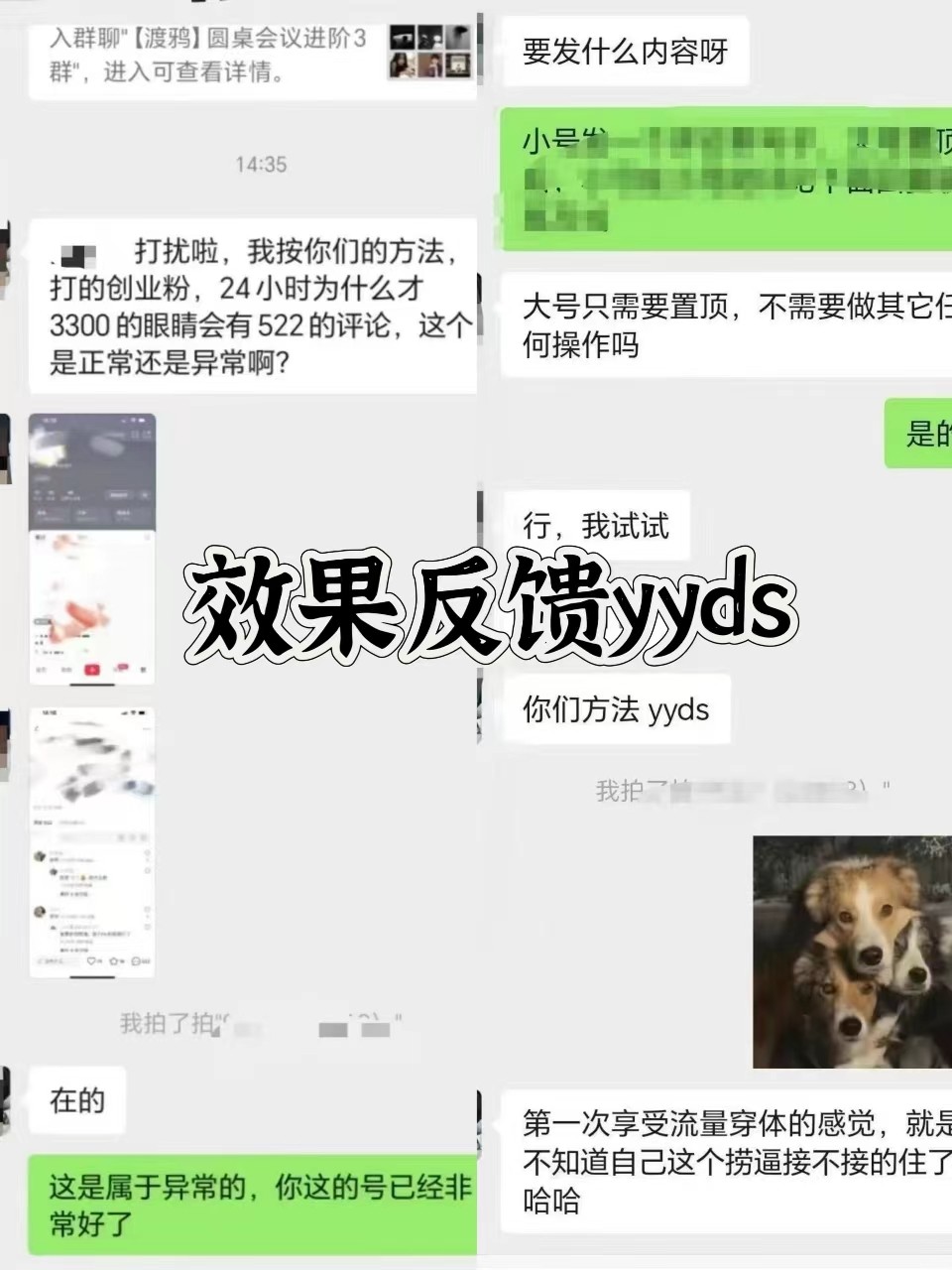图片[3]-抖音小红书视频号全平台引流打法，全自动引流日引2000+精准客户-蜜桃网创